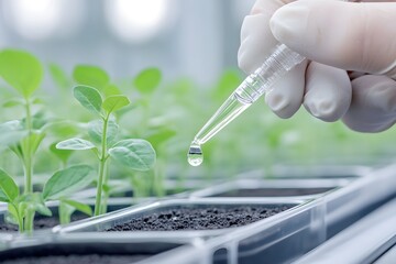 Hand in glove is using pipette to drop liquid onto young plants in greenhouse, showcasing soil analysis and sustainable fertilization techniques. soil analysis, sustainable development, fertilization,