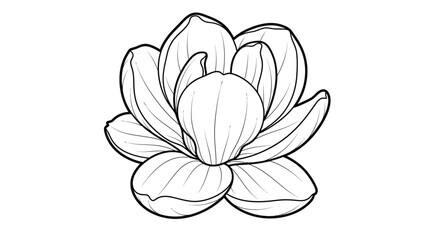 Magnolia Flower with Round Petals Adult Coloring Page Elegant Botanical Design