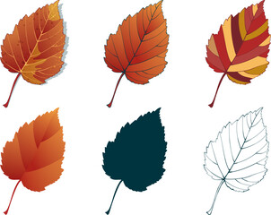 Set of hand-drawn fall colored maple leaves isolated on white background. Flat and line styles vector illustration.