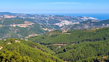 Panoramic view of a valley nestled between forested hills