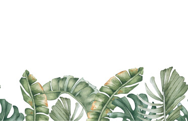 Watercolor jungle foliage seamless border isolated on white. Banana palm leaves in soft green palette hand painted. Tropical repeated banner for cosmetic packaging, travel brochures, and textile.