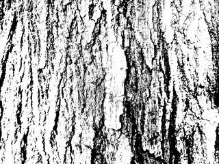 Black and white distressed tree bark texture overlay effect, grunge natural texture design element