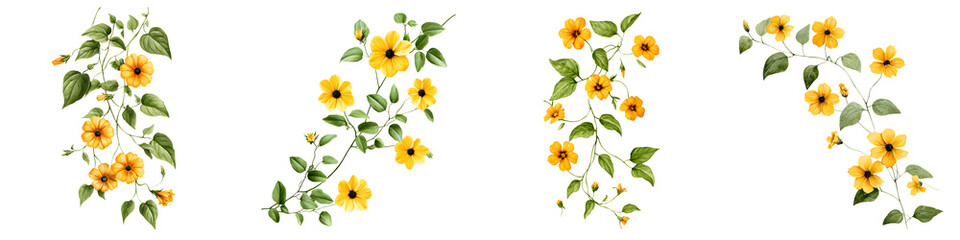 Fototapeta premium Watercolor Yellow Flower Vines and Leaves Isolated on White