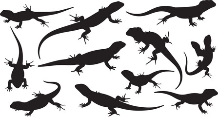 Obraz premium Vector art of a collection of black lizard silhouettes in various poses
