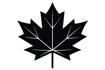 maple leaf vector icon