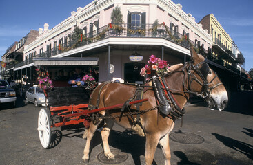 USA - Louisiane - New Orl&eacute;ans - Houma.