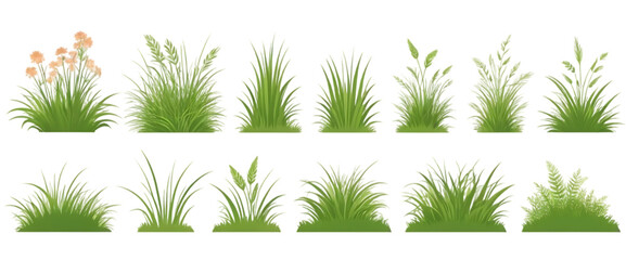 Collection of Various Green Grass and Plant Illustrations on Transparent Background for Design Projects