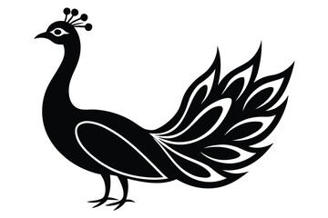 peacock vector icon