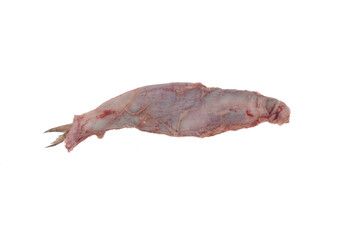 The anatomy of fish, digestive organs. The stomach of a pike. Organs are dissected on a white...