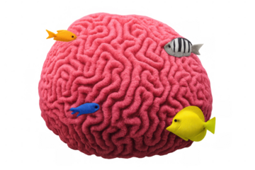Vibrant fish circling pink brain coral, symbolizing cognitive flexibility, neural connectivity, and creative thinking against transparent backdrop