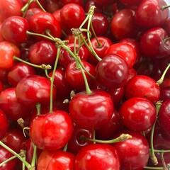 Freshly Picked Sweet Red Cherries with Green Stems Filling a Container