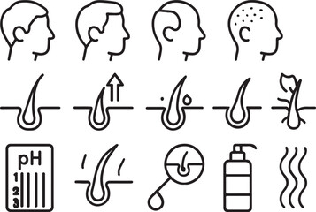 Fototapeta premium Hair growth and scalp health icons loss follicle