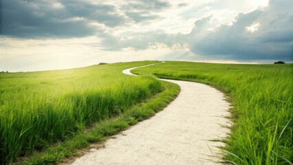 Obraz premium Winding path through lush green grassy hill under cloudy sky