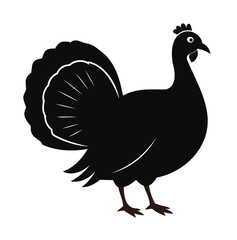 Turkey Bird Silhouette Vector on Clean White Background