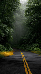 Obraz premium Misty Forest Road with Lush Greenery