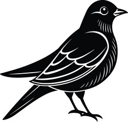 Elegant Single Martin Bird Silhouette Icon.