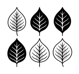 Obraz premium set of leaves isolated on a transparent background.