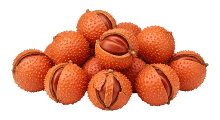 Pile of Opened Horse Chestnut Conkers.