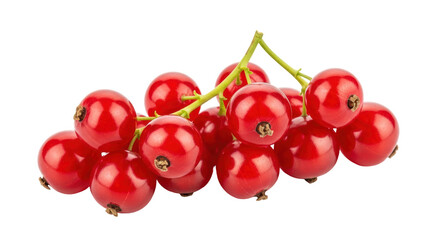 Isolated Redcurrants