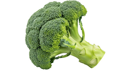 Isolated Broccoli