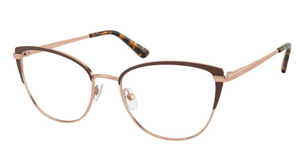 Isolated Stylish Glasses