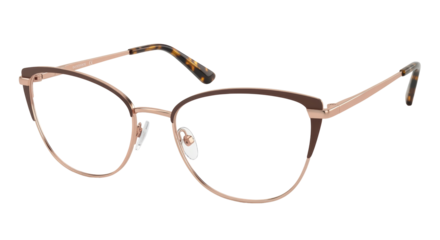 Isolated Stylish Glasses