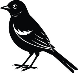 Minimalist Single Bulbul Bird Vector.