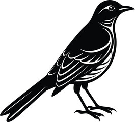 Mockingbird Silhouette Vector for Design.