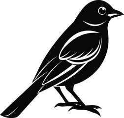 Shrike Bird Silhouette Vector Graphic.