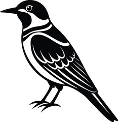 Single Bee Eater Bird Silhouette Icon.