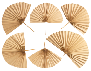  Decorative Rattan Palm Leaves in Fan Shape, isolated on transparent background PNG