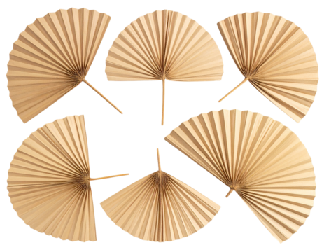  Decorative Rattan Palm Leaves in Fan Shape, isolated on transparent background PNG