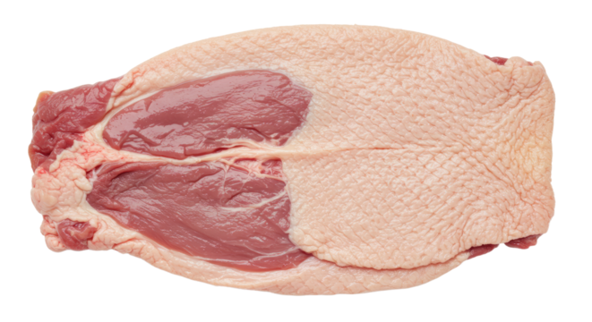 Raw Duck Breast Isolated on White.