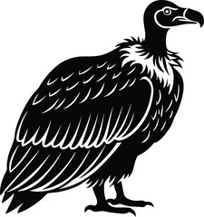 Single Vulture Bird Vector Graphic.