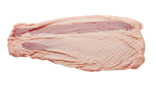 Raw Duck Breast Meat Isolated.
