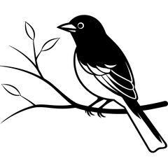 Black bird silhouette perched on a branch with leaves white