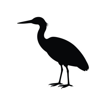 A bittern bird silhouette vector illustration.