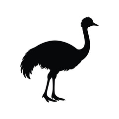 An emu bird silhouette vector illustration.
