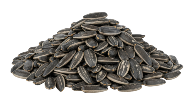 Isolated Sunflower Seeds Pile