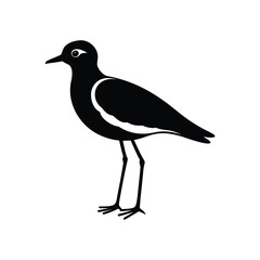 A lapwing bird silhouette vector illustration.