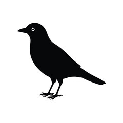 A martin bird silhouette vector illustration.