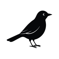 A nuthatch bird silhouette vector illustration.

