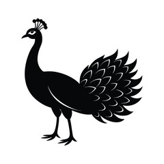 A peacock bird silhouette vector illustration.
