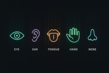 Depiction of the five senses with vibrant icons against a dark backdrop showcasing vision, hearing, taste, touch, and smell.