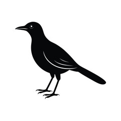 A rail bird silhouette vector illustration.

