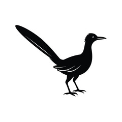 A roadrunner bird silhouette vector illustration.

