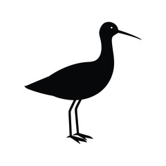 A snipe bird silhouette vector illustration.
