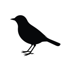 A warbler bird silhouette vector illustration.
