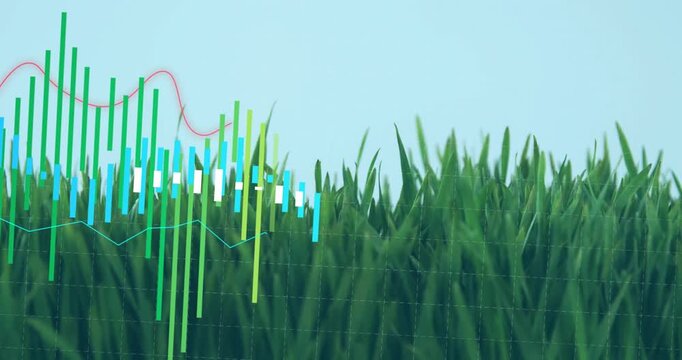 Animated bars rising on grass horizon, shifting colors and combining with lines to illustrate data