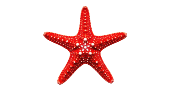 Isolated Red Starfish - Powered by Adobe
